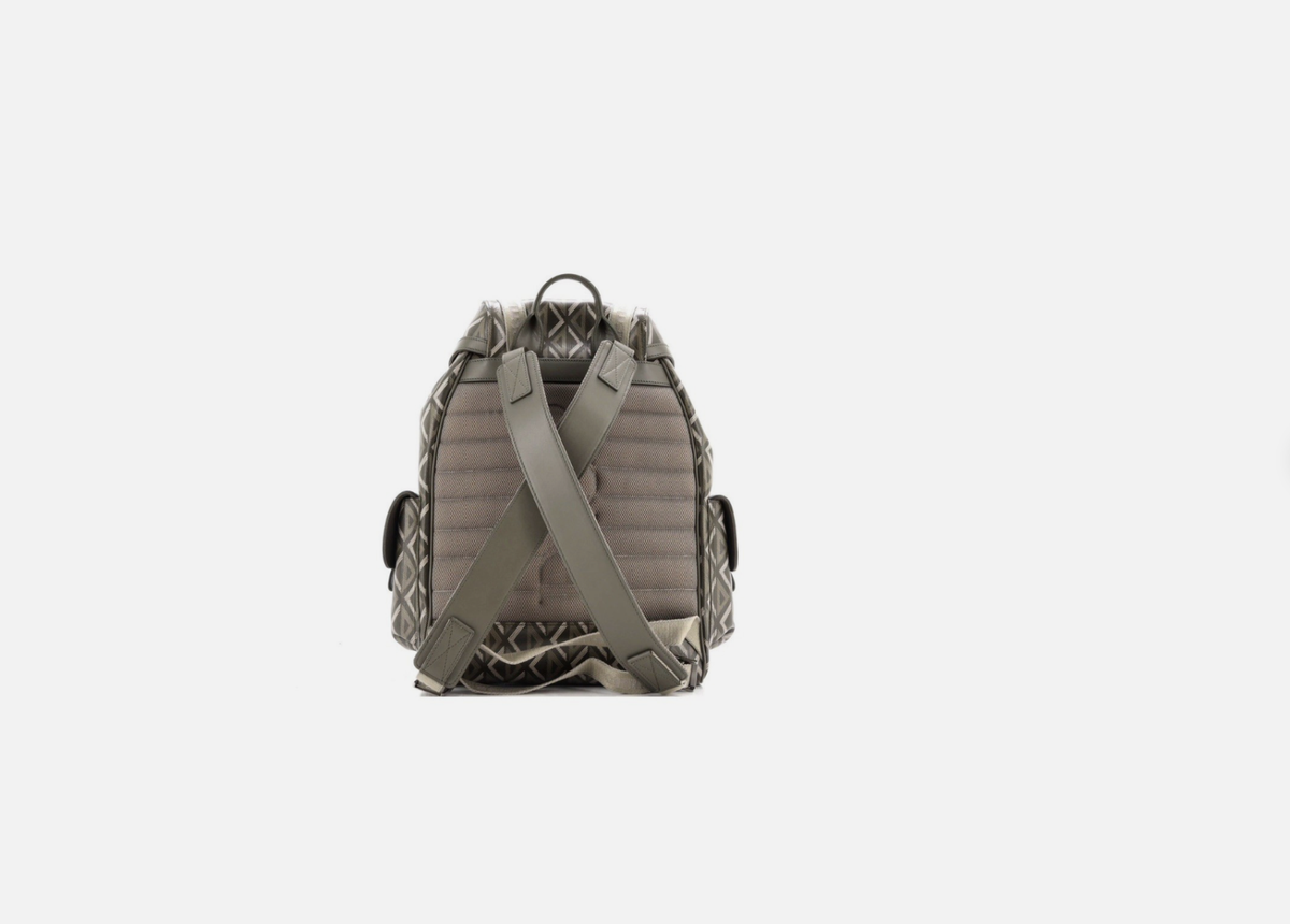 Christian Dior Hit the Road Backpack CD Diamond Coated Canvas | eBay