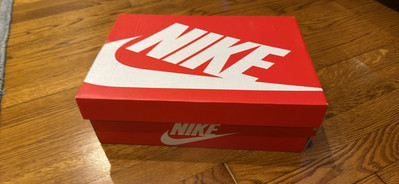 Nike Panda Dunks 