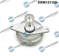 Dr.Motor Automotive Agr-Ventil FüR Opel