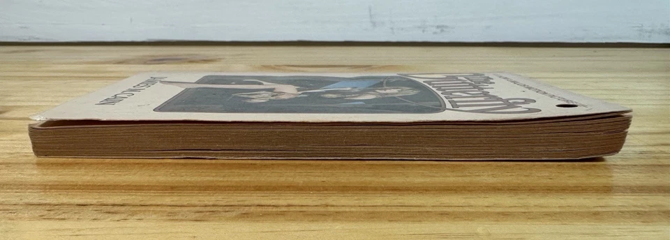 THE BUTTERFLY by James M. Cain (1979) Vintage movie paperback. Must See Book! Foto 3 de 4