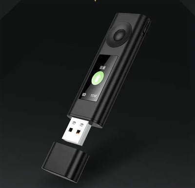 Mini-Professional Flash USB Voice Recorder