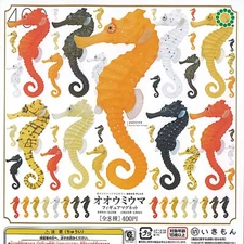 MONO PLUS Great seahorse figure magnet Capsule Toy 8 Types Full Comp Set Gacha