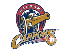 Calgary Cannons Defunct Baseball Team Mens Polo XS-6XL, LT-4XLT  New