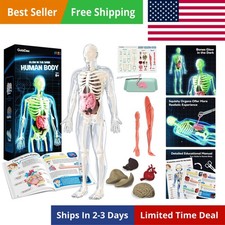Human Body Skeleton Model Kits, 40 Piece Anatomy Figure,Glow in The Dark Bone...