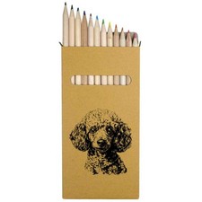 12 x 'Poodle Portrait' Long 178mm Coloured Pencils / Pencil Set PE00073693 
