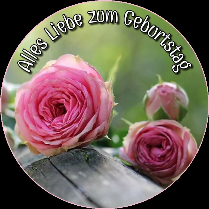 Bild 1 von 2