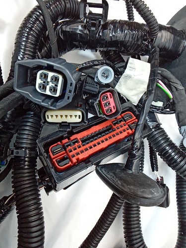 PO#25 NEW OEM 2018-2020 Ford EcoSport Wiring Harness w/ Fuse Box GN1Z-12A581-LD - Bild 6 von 18