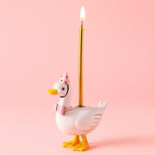 Silly Goose Cake Candle Holders with Birthday Candle One Silly Goose Birthday 