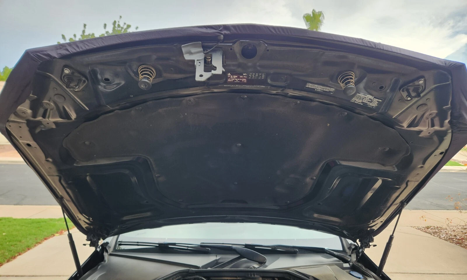 Buffalo Bills Auto Hood Cover with Flag