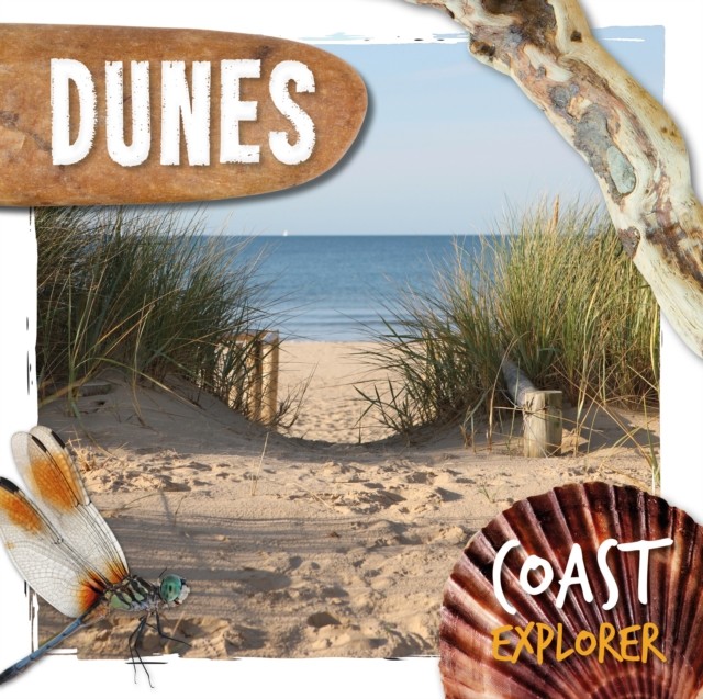 Dunes by Robin Twiddy (Hardback Book)