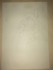 Picture 5 of 6