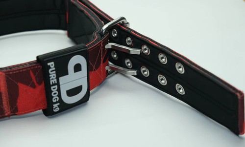 7cm or 5cm Sport Collar with Handle-Grey-Black-Double Pin-Nylon-Pure Dog K9 - Picture 15 of 49