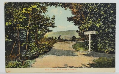 Pen Mar PA Brink Wood Blue Ridge Mountains 1910 Cascade to Balto Postcard O9