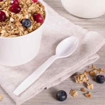Karat PS Plastic Extra Heavy Weight Tea Spoons - White - 1,000 ct, U2023W