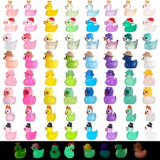 64 Pcs Luminous Mini Resin Ducks, 8 Types Small Ducks Plastic Mini Resin Anim...