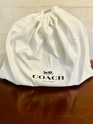 Coach Willow Small Blue Bucket Bag Silver Hardware Adjustable Strap Dust Bag