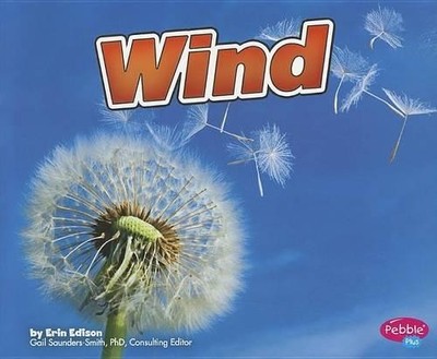 Erin Edison Wind (Taschenbuch) Weather Basics (US IMPORT)