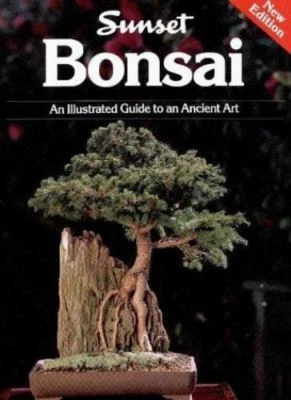 klle bonsai Bonsai tree