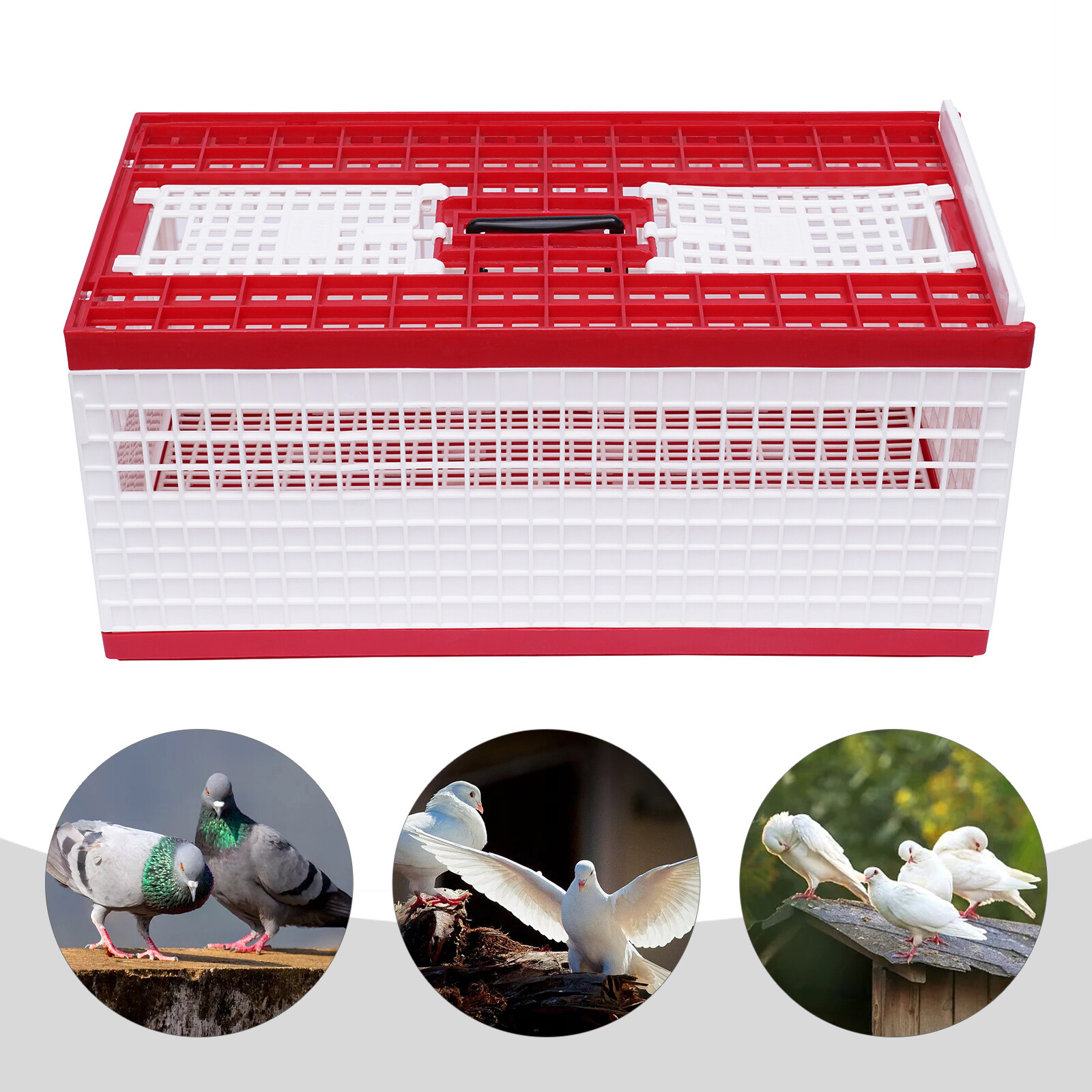 4Door Bird Pigeon Plastic Cage Pigeon Training Release Cage Collapsing