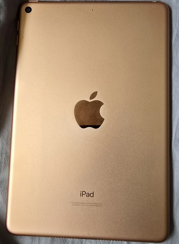 Apple iPad mini 5 (5th Generation) A2133 256 GB, Wi-Fi, 7.9 in - Gold - Afbeelding 2 van 7