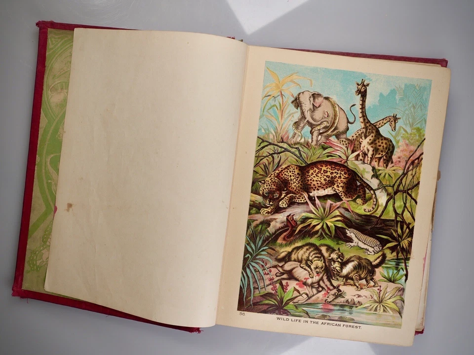 "Heroes of the Dark Continent” by J. W. Buel Illustrated Hardback #vintage 1890 Foto 4 de 4