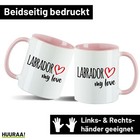 Bild 50 von 55
