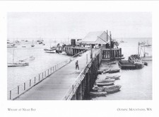 Wharf at Neah Bay Olympic National Park Washington Postcard Circa 1919