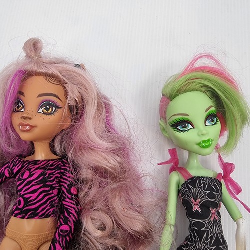 Monster High Dolls x2 Clawdeen Wolf and Venus McFlytrap - Picture 2 of 4
