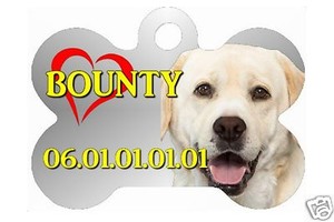 Details Sur Medaille Pour Chien Personnalisee Avec Nom Et N De Telephone Ref 30