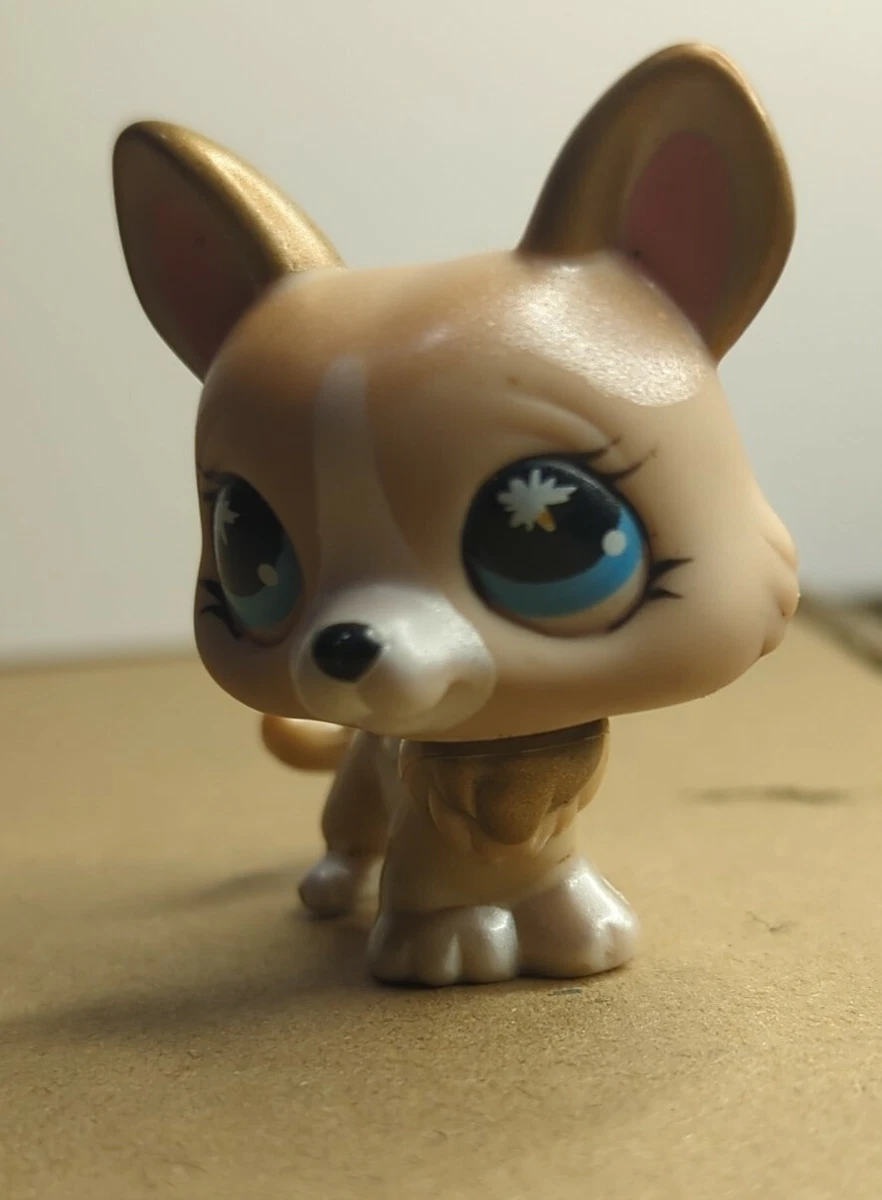 Corgi top shop online
