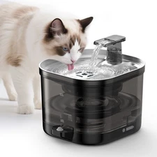 Cat Water Fountain Stainless Steel: Cat Fountain for Drinking - Wireless