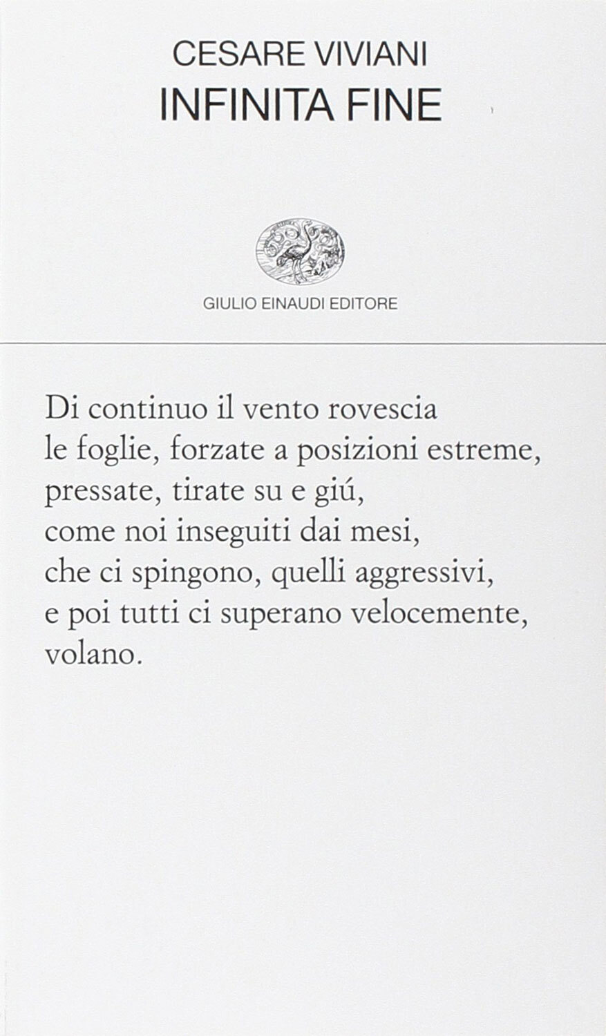 Libri Cesare Viviani - Infinita Fine