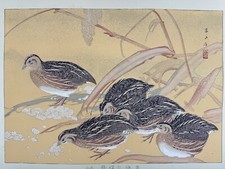 Impresión en madera japonesa “Codornices y mijo” pájaro Rakuzan tamaño grande 1929