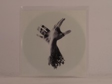 THE LAST DINOSAUR THE NOTHING (498) 11 Track Promo CD Album including Picture Sl