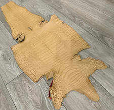 Tan Genuine Caiman Crocodile belly Hide Leather Skin Alligator gator Croc 648