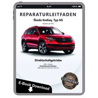 Skoda Kodiaq NS 2016 6 Gang Automatikgetriebe DSG 0D9 Reparaturanleitung PDF