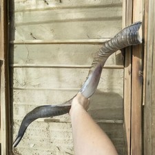 Yemenite Kudu Horn Shofar 24''-28'' New KOSHER Made in Jerusalem  From Israel  