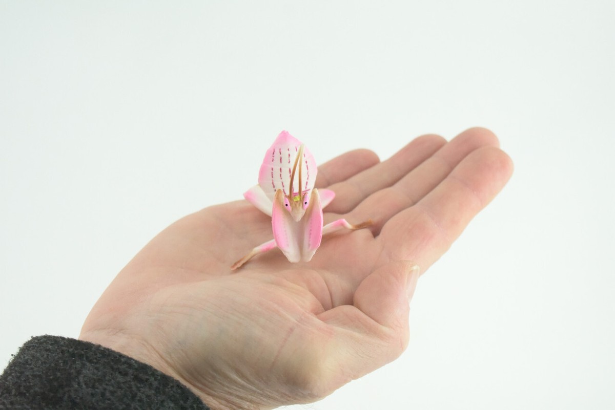 Orchid Mantis Model, Realistic Hand Painted Rubber Insect Toy, 2.5