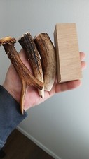 243.KNIFE HANDLE MATERIAL.Oak,Red Deer,Roebuck Horn Blanks(NATURAL).
