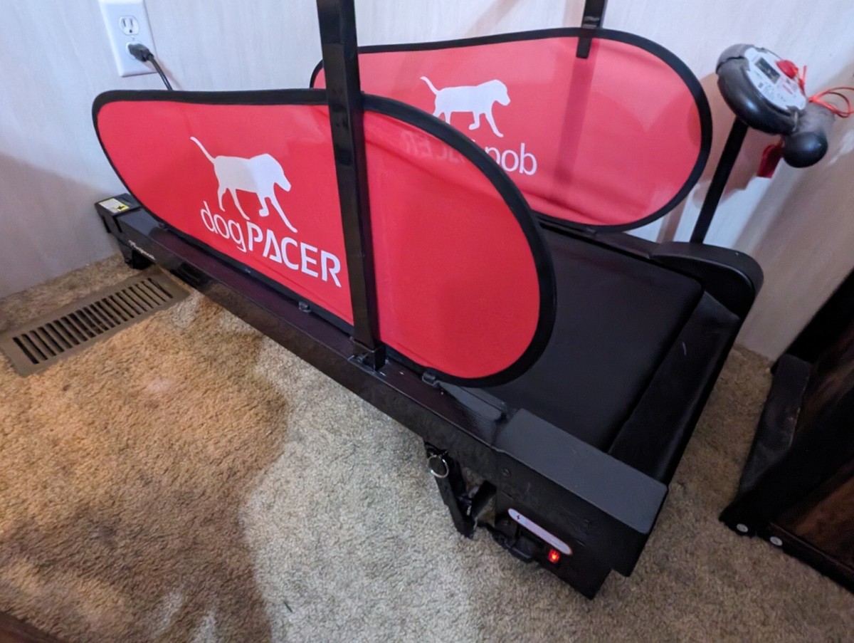 Dogpacer Minipacer Treadmill Dogpacer Mini Treadmill Dogpacer Dog
