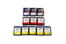 Lot of 11 Dane-Elec 4 GB SD HC Class 4 Speed Memory Card