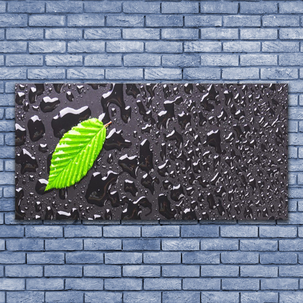 Tableau Plexiglas 140x70 Art Feuille - Impression d'Art Moderne Vert Sauge