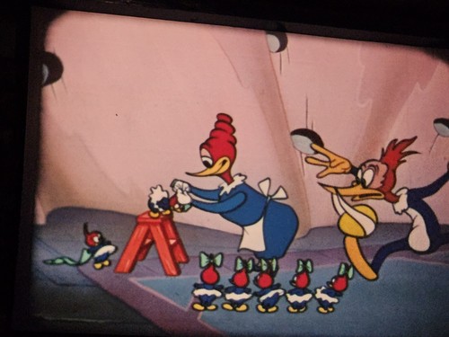 16mm WOODY WOODPECKER SHOW-IB Technicolor 2 Cartoons, Woody's Newsreel & bumpers - Picture 11 of 21