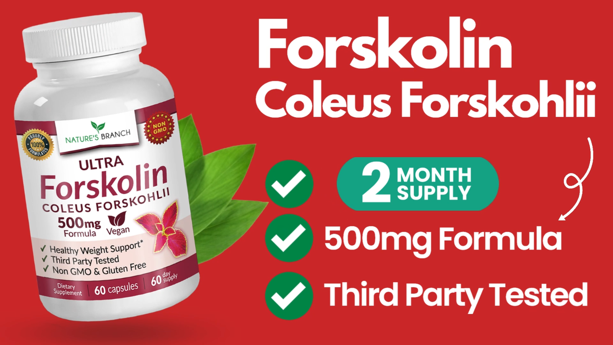 forskolin and l carnitine Forskolin Weight Loss 500mg, Coleus Forskohlii Supplements