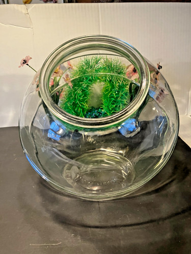 UNIQUE VINTAGE 2 GALLON GLASS FISH BOWL or TERRARIUM