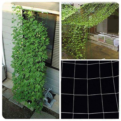 Garden Plant Climbing Net Cucumber Plastic Trellis Netting ...