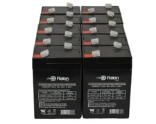 Raion Power 6V 4.5Ah Battery For Topin TR6V4 - 10 Pack
