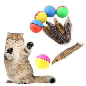 rolling ball cat toy