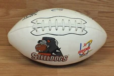 Baden Birmingham Steeldogs Arena Football / Alabama's abc 33 40 *Collectible*