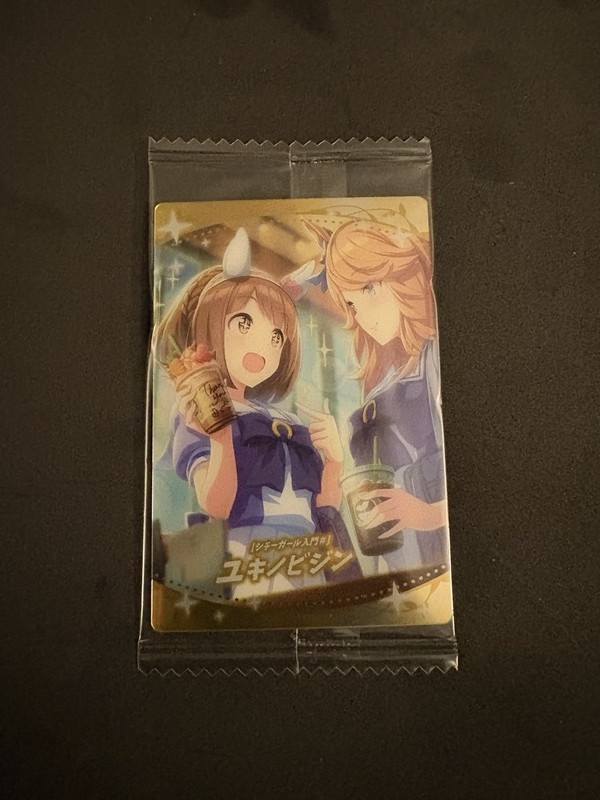 Uma Musume Pretty Derby card collection Yukino Bijin SR